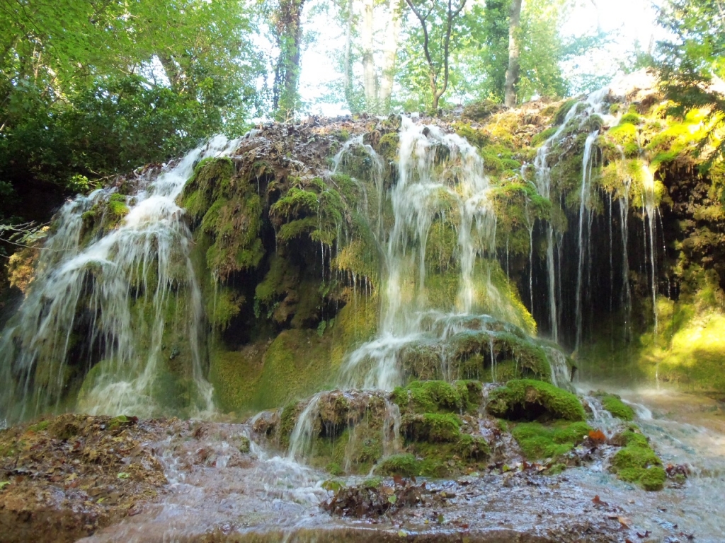 Cascade en milieu boisé sur des roches couvertes de mousse